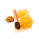 Beeswax on a white background